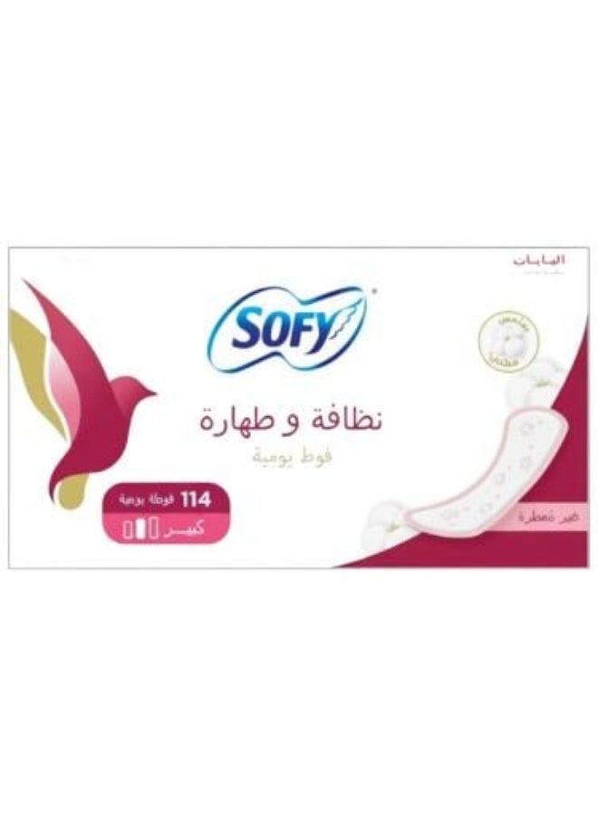 Daily Clean & Fresh Unscented Pantyliners Large Size 114 Pieces